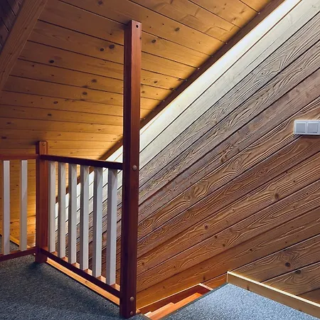 Stella Haus Dzianisz